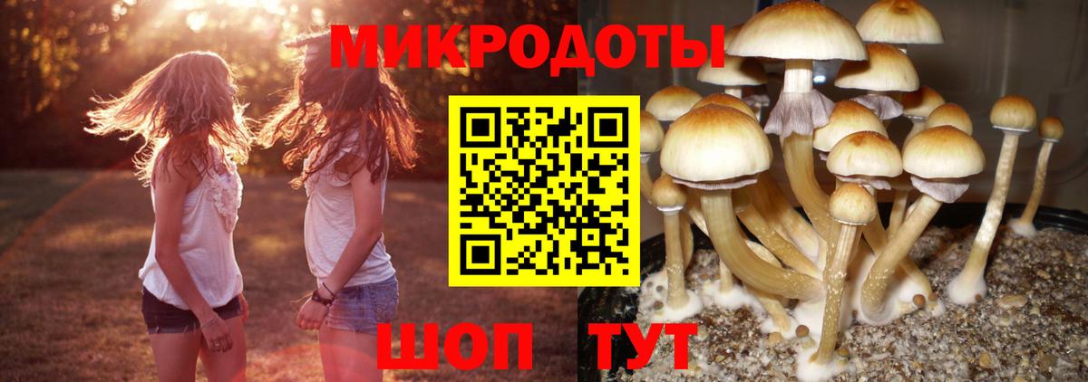 Псилоцибиновые грибы мухоморы  Вход с VPN  Краснознаменск 